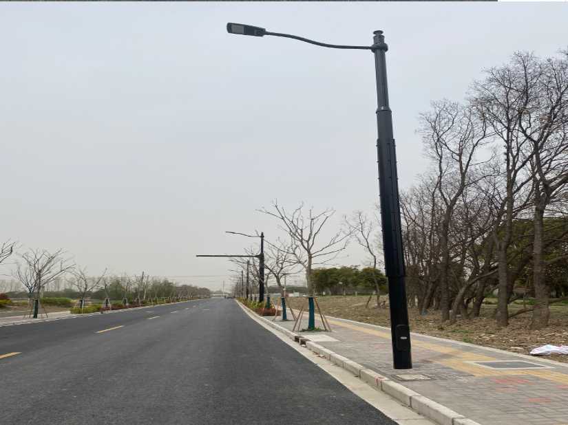 凤翔区上海综合杆 太阳能路灯工程